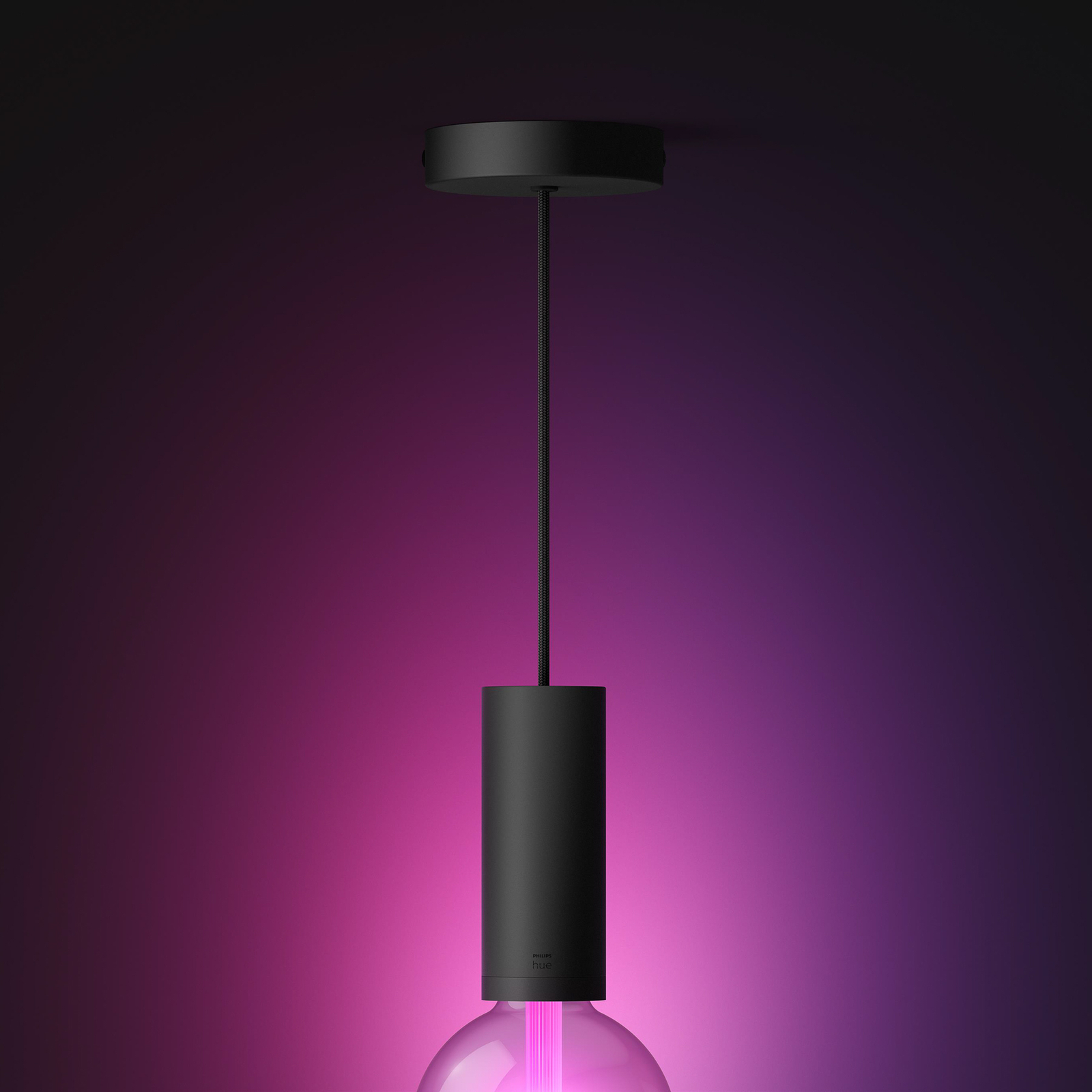 creëren pastel bijtend Philips Hue hanglamp, E27 fitting, 1-lamp, zwart | Lampen24.nl