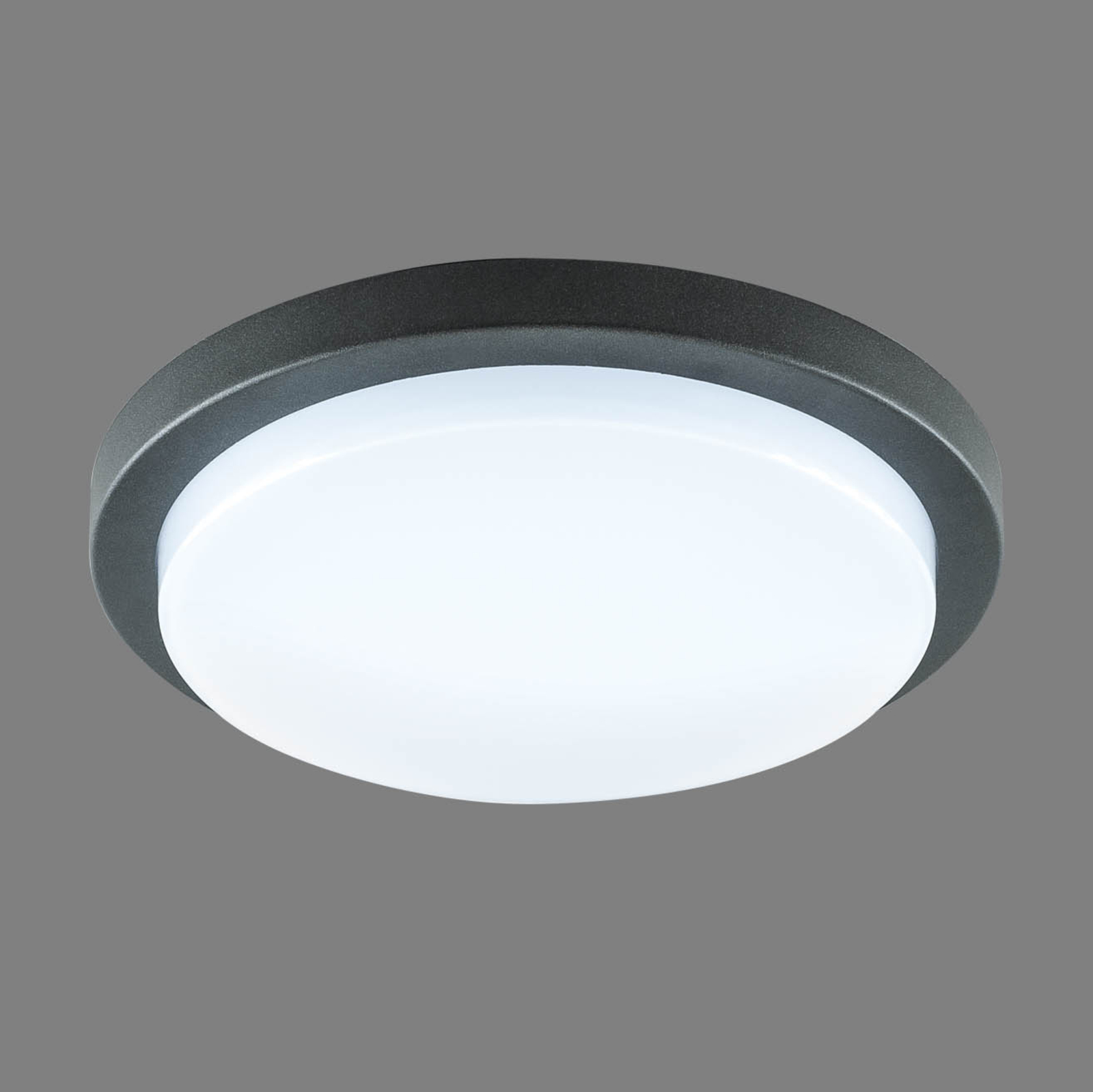 EVN Tectum LED utendørs taklampe, rund, Ø 24,6 cm