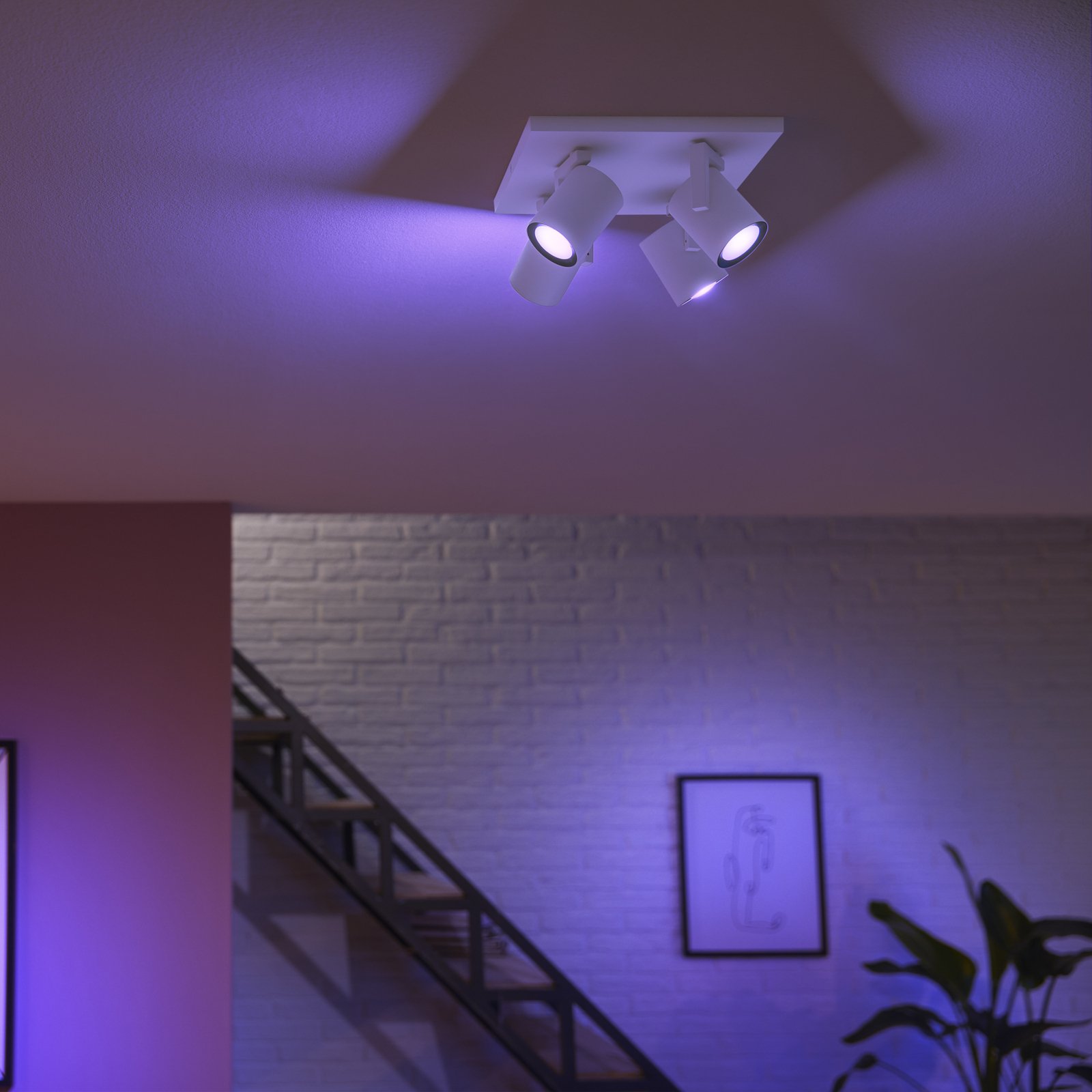 Philips Hue LED-kattovalaisin Argenta, valkoinen, 4 valoa RGB CCT