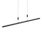 Arneja Hanglamp Black - Lindby