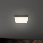 Flame LED ceiling light, 15.7 x 15.7 cm, black