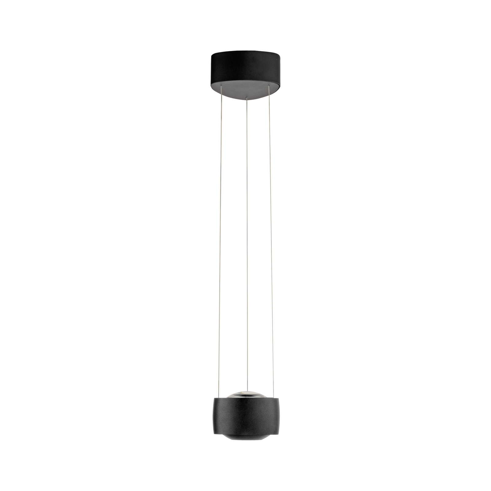 Lámpara colgante LED Paul Neuhaus Q-Stretto, negra, Ø 14,5 cm