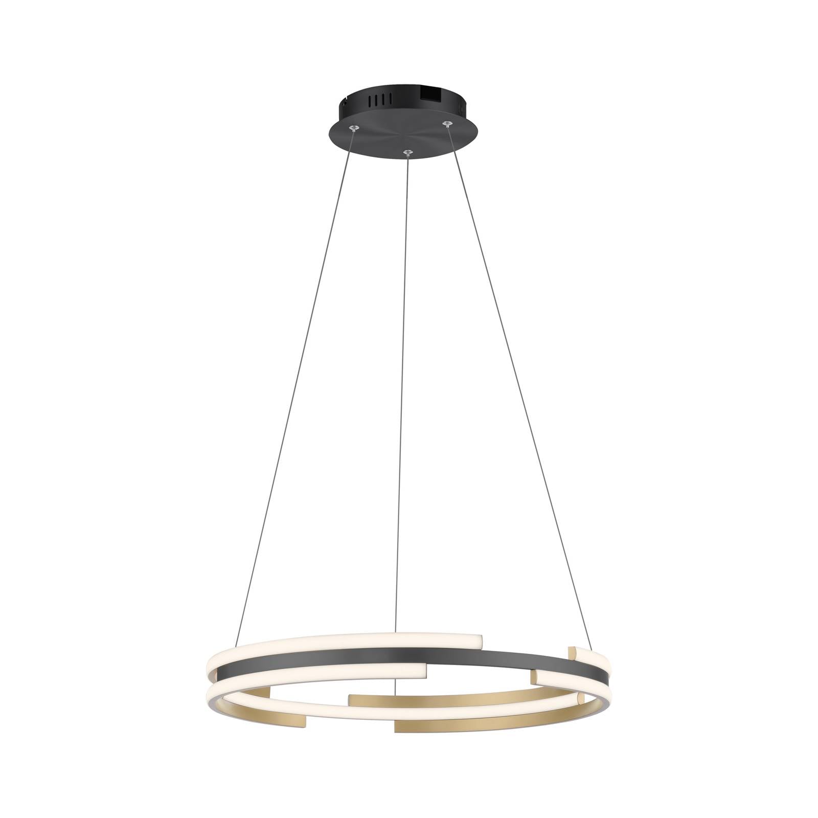 Led Pendelleuchte Q-Beluga in Messing-matt 6x 916W 6900lm - Messing-matt - Q-smart