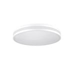 Billbrook LED ceiling light with emergency light function