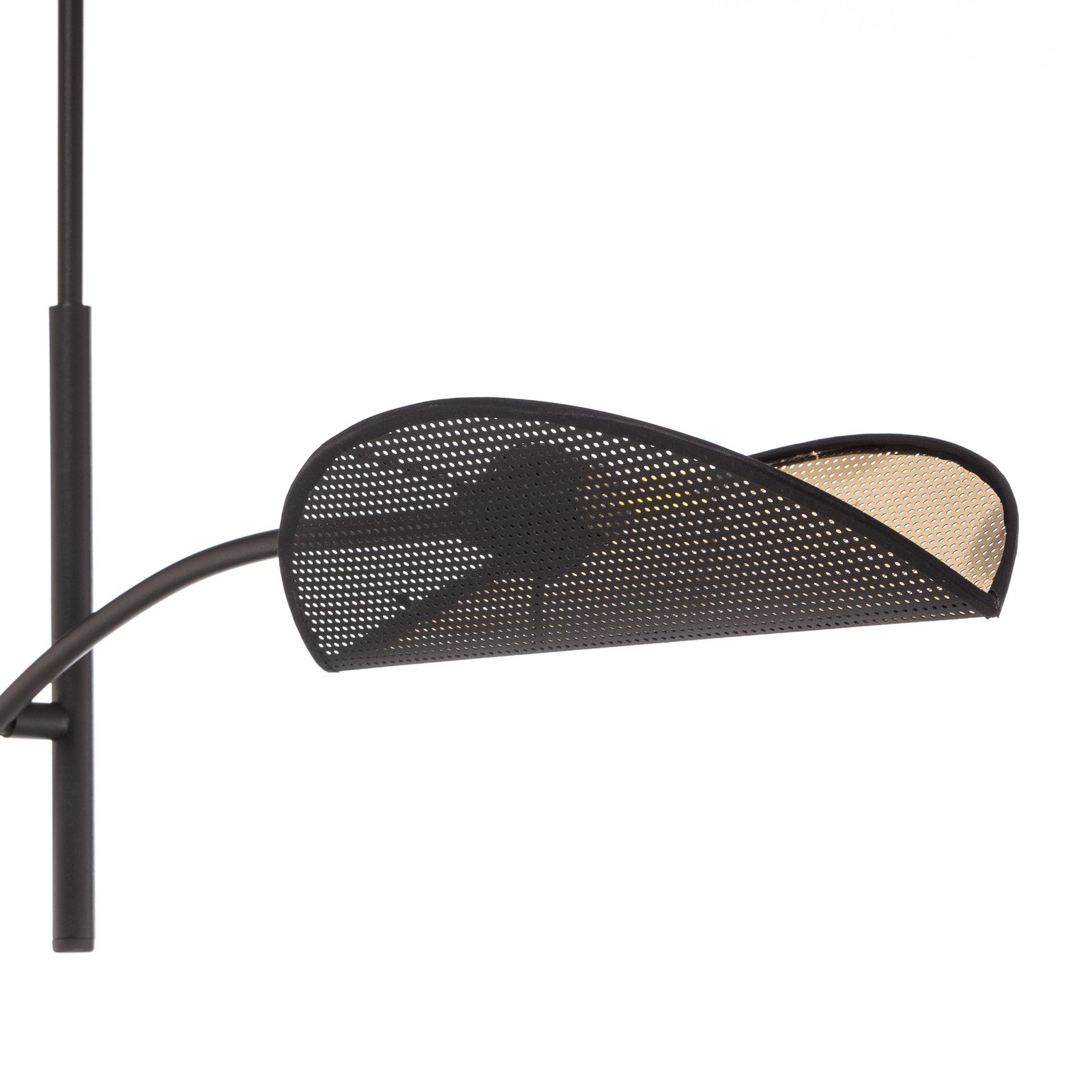 Lampa sufitowa Lotus, czarna/złota, 2-pkt.