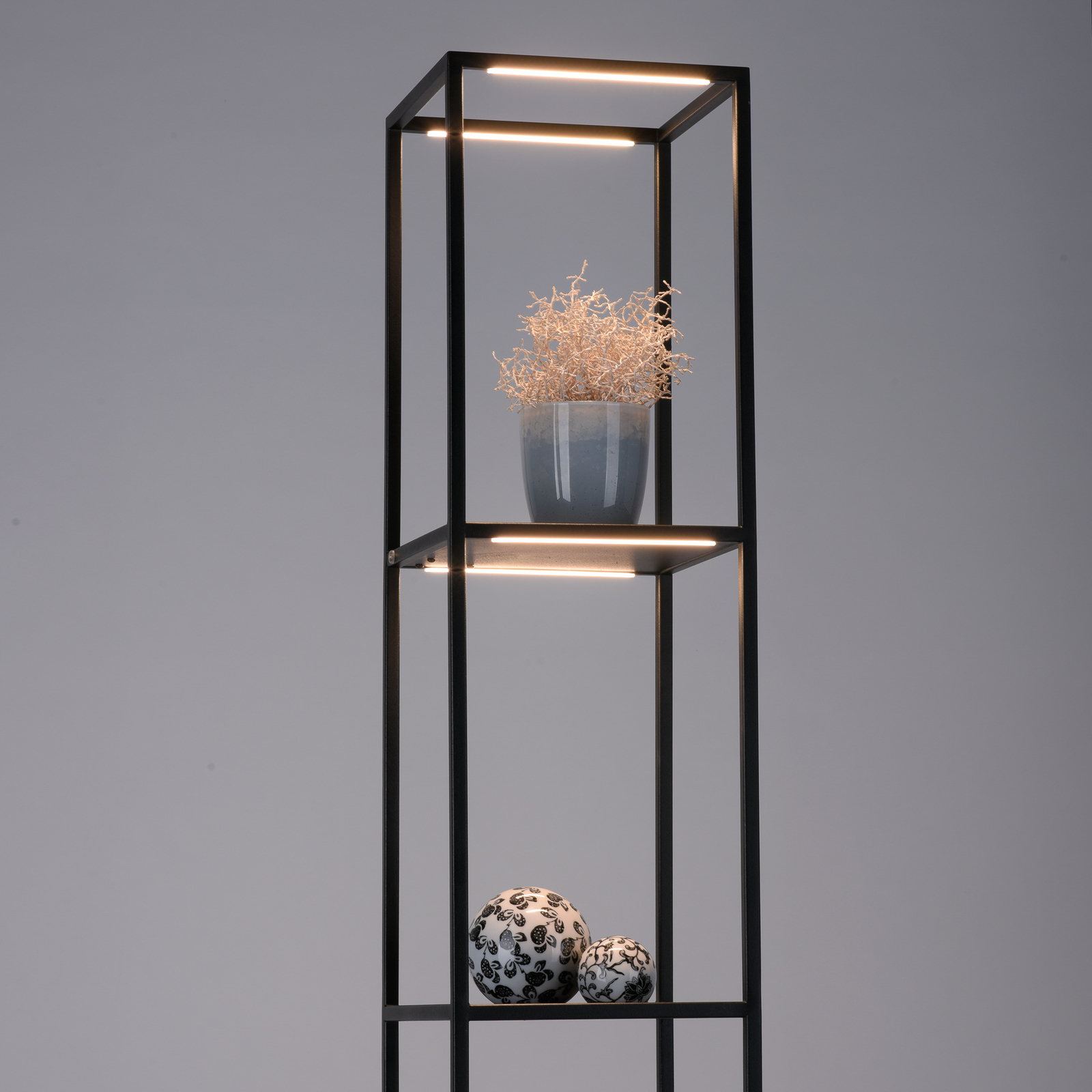 Paul Neuhaus Contura lampa stojąca LED czarna