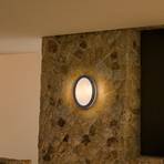 LEDVANCE Endura Classic Orbi outdoor wall light, IP65