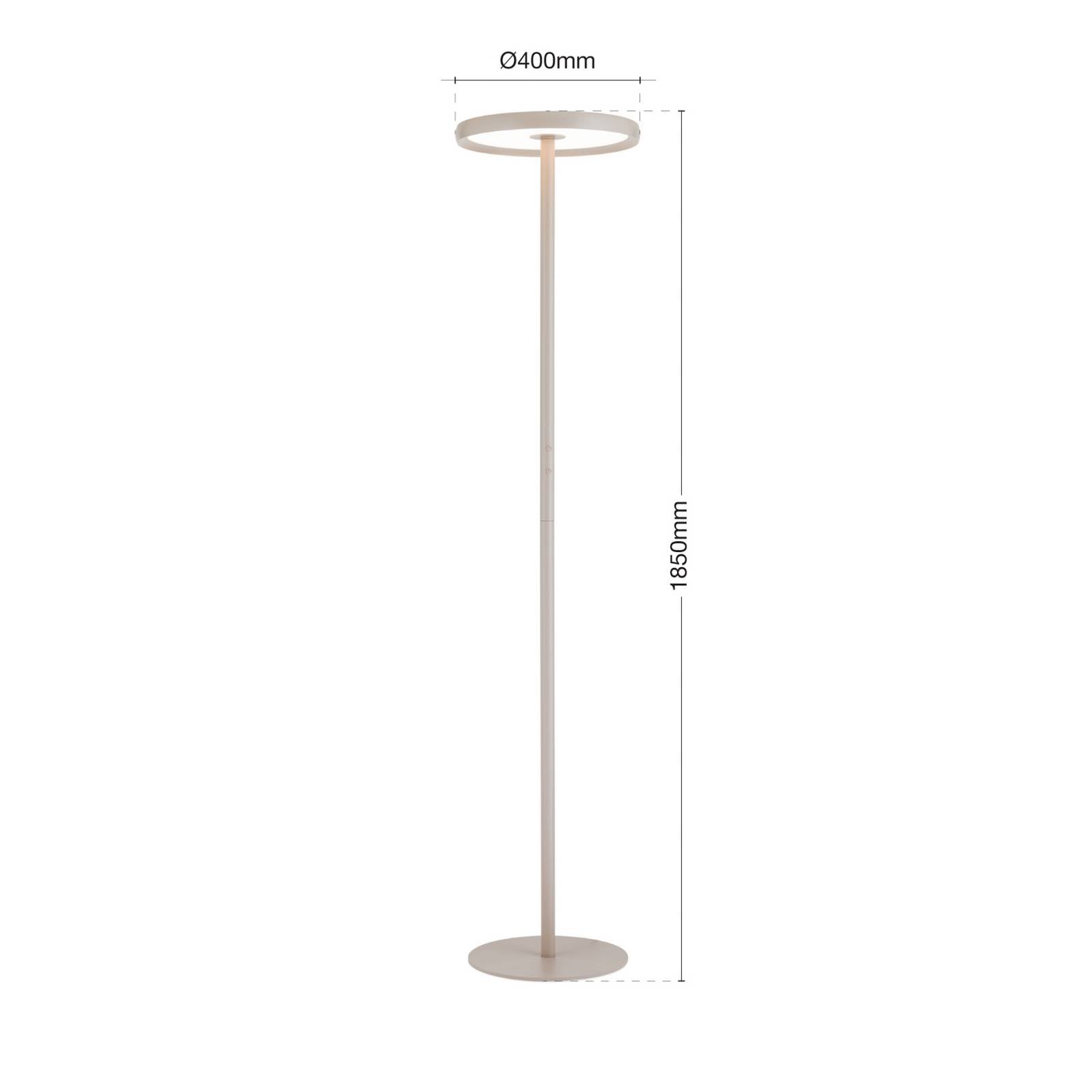 Lampa stojąca LED KANT, khaki, wysokość 185 cm, CCT, ściemniany, w górę/w dół