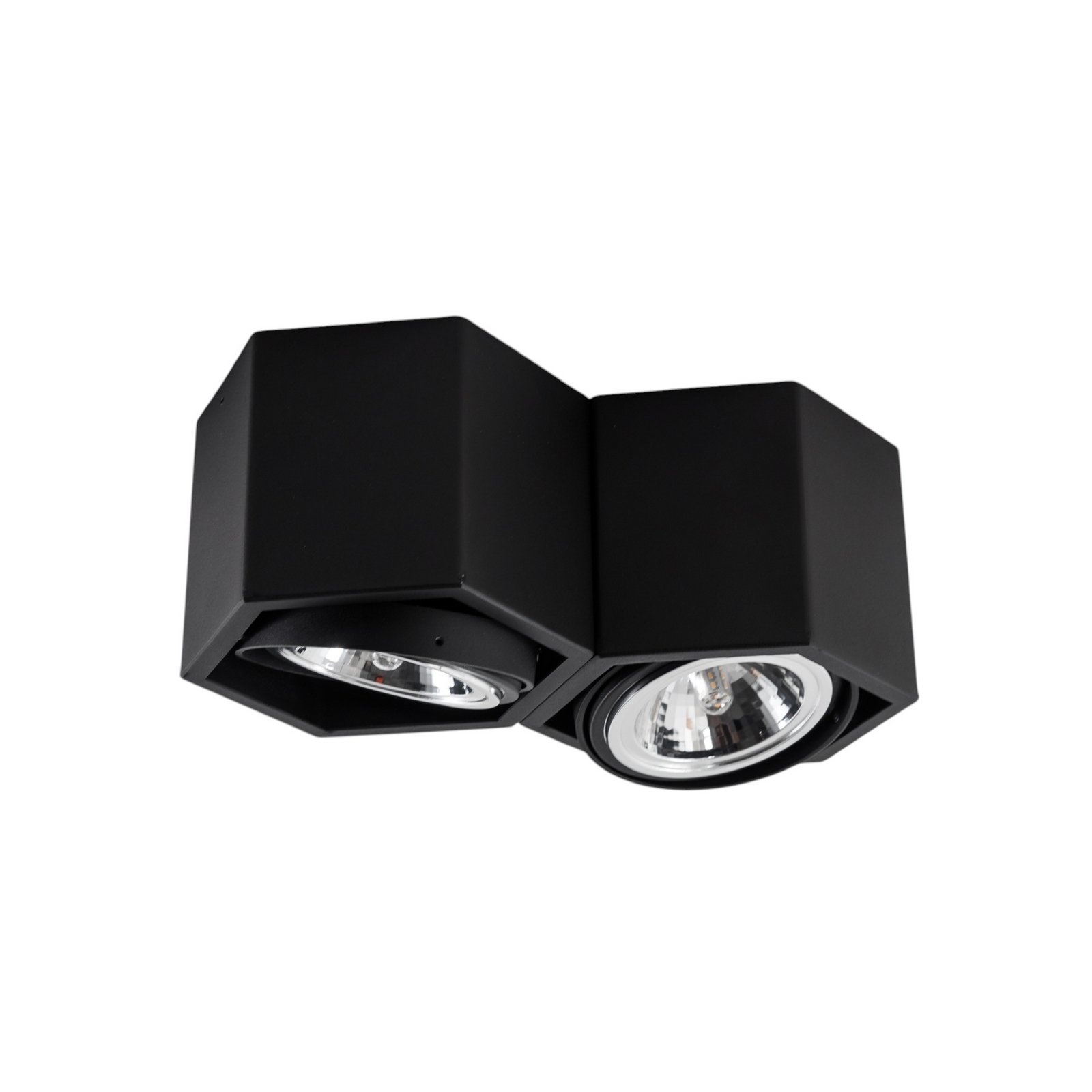 Plafón Elvas orientable 2 luces negro