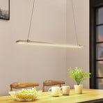 Tymon LED linear pendant light, narrow, extendable