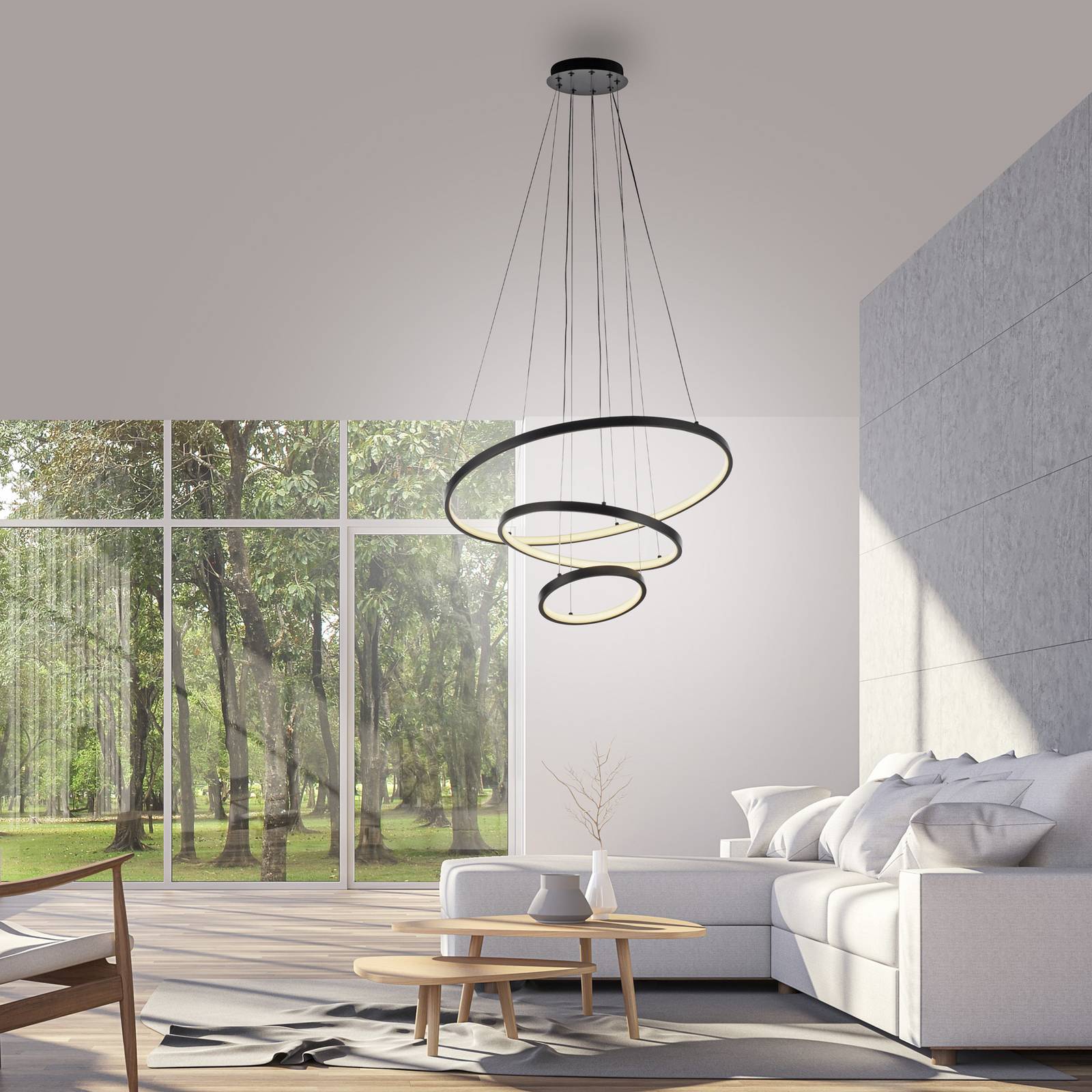 JUST LIGHT. LED-Hängeleuchte Cerchi, schwarz, 3.000 K günstig online kaufen