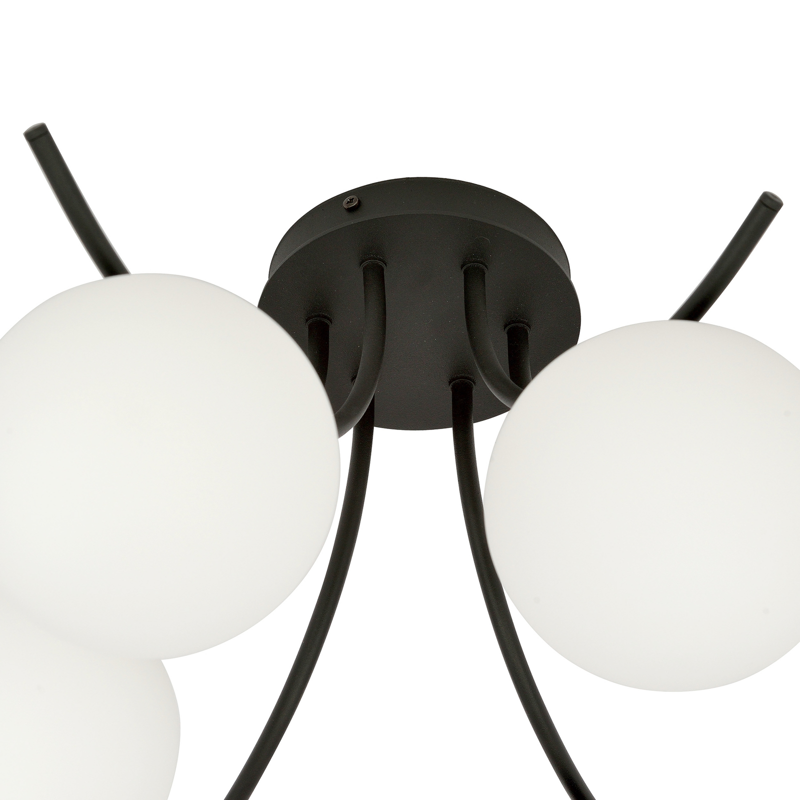 Boston ceiling lamp, black/opal, 6bulb Lights.co.uk
