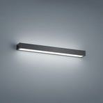 Helestra Theia LED-Wandleuchte, IP44, matt schwarz