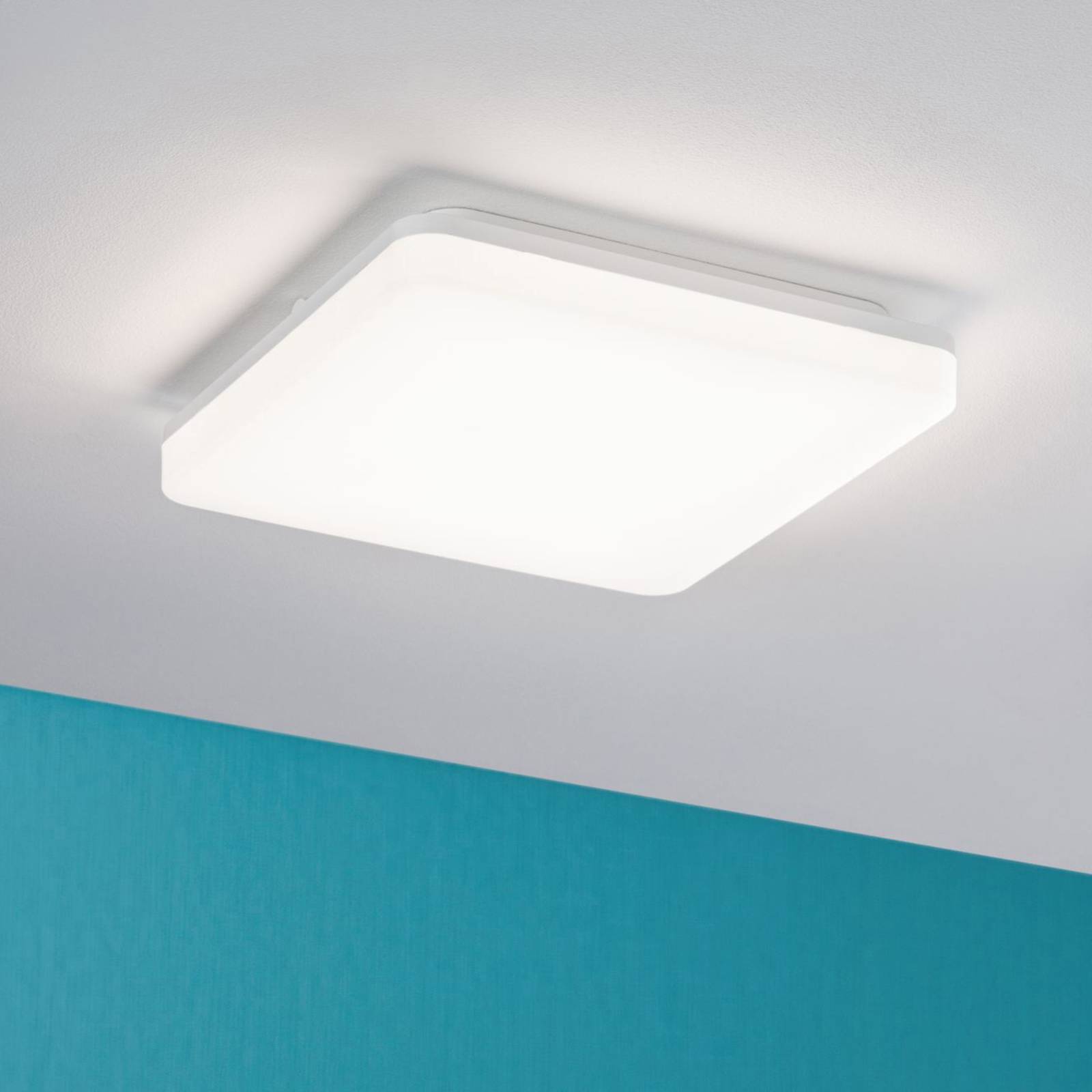 Paulmann Cela panel LED 28x28cm, White Switch