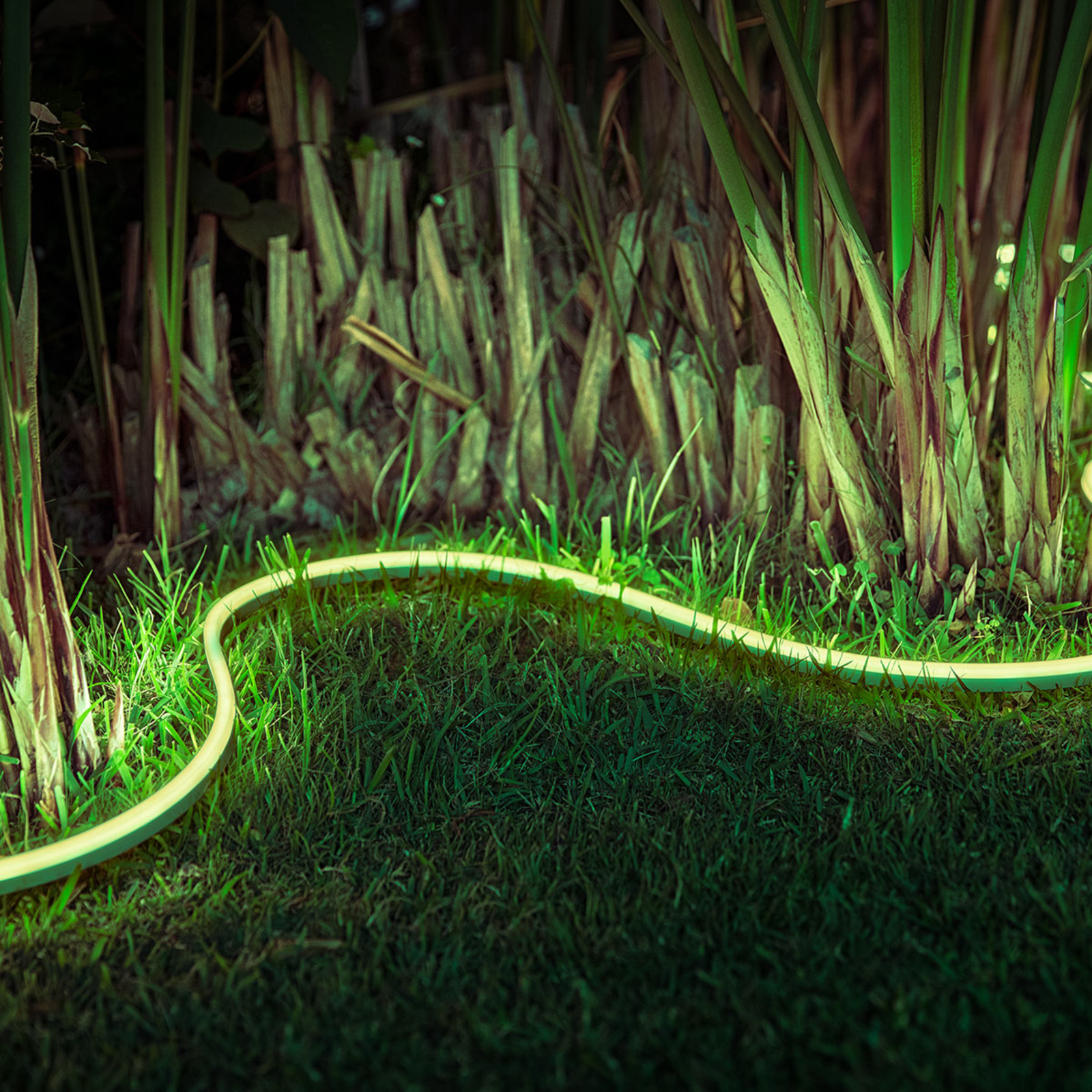 Philips Hue Lightstrip Outdoor White & Color Amb.