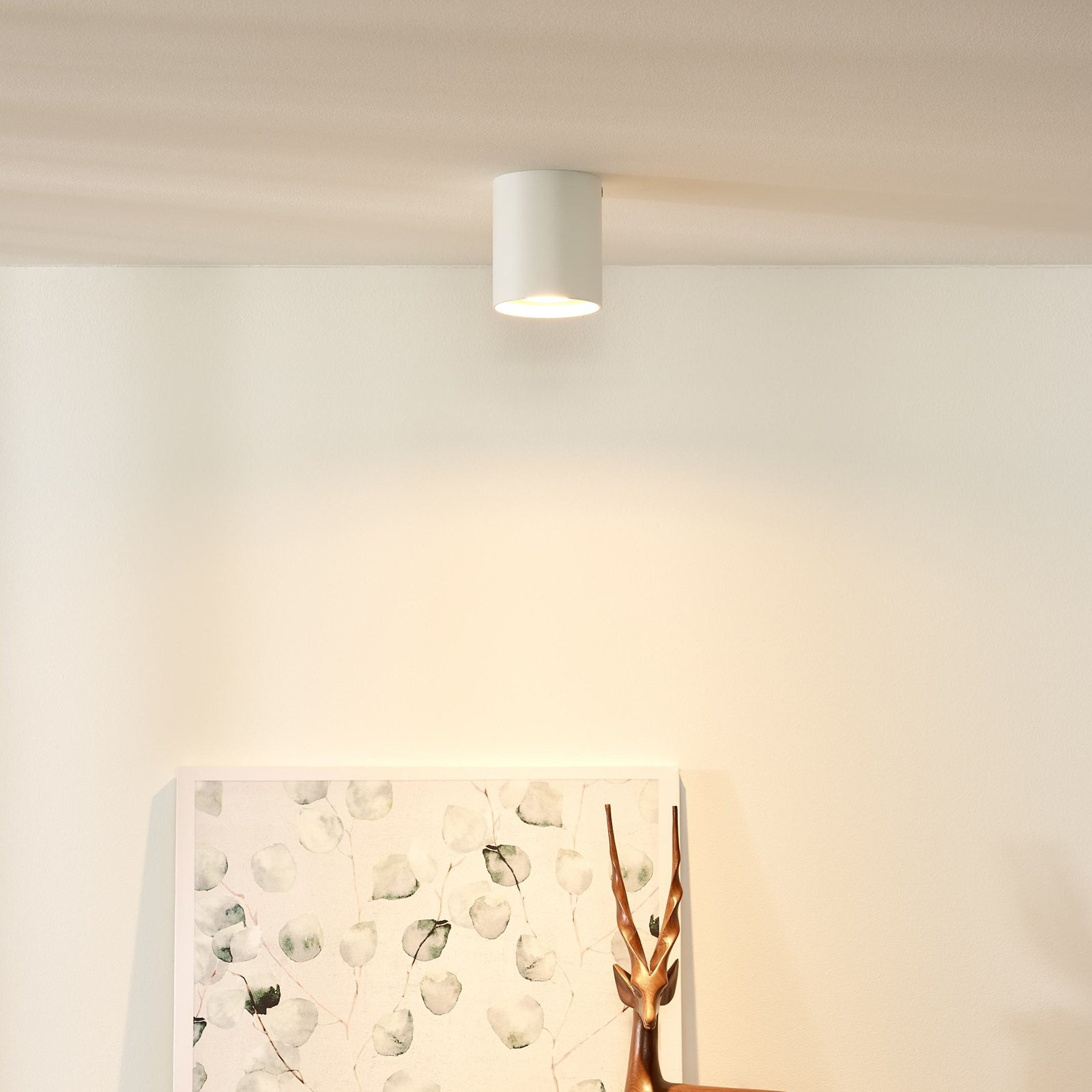 Faretto da soffitto Bodi, rotondo, bianco, Ø 8 cm, a 1 luce, alluminio