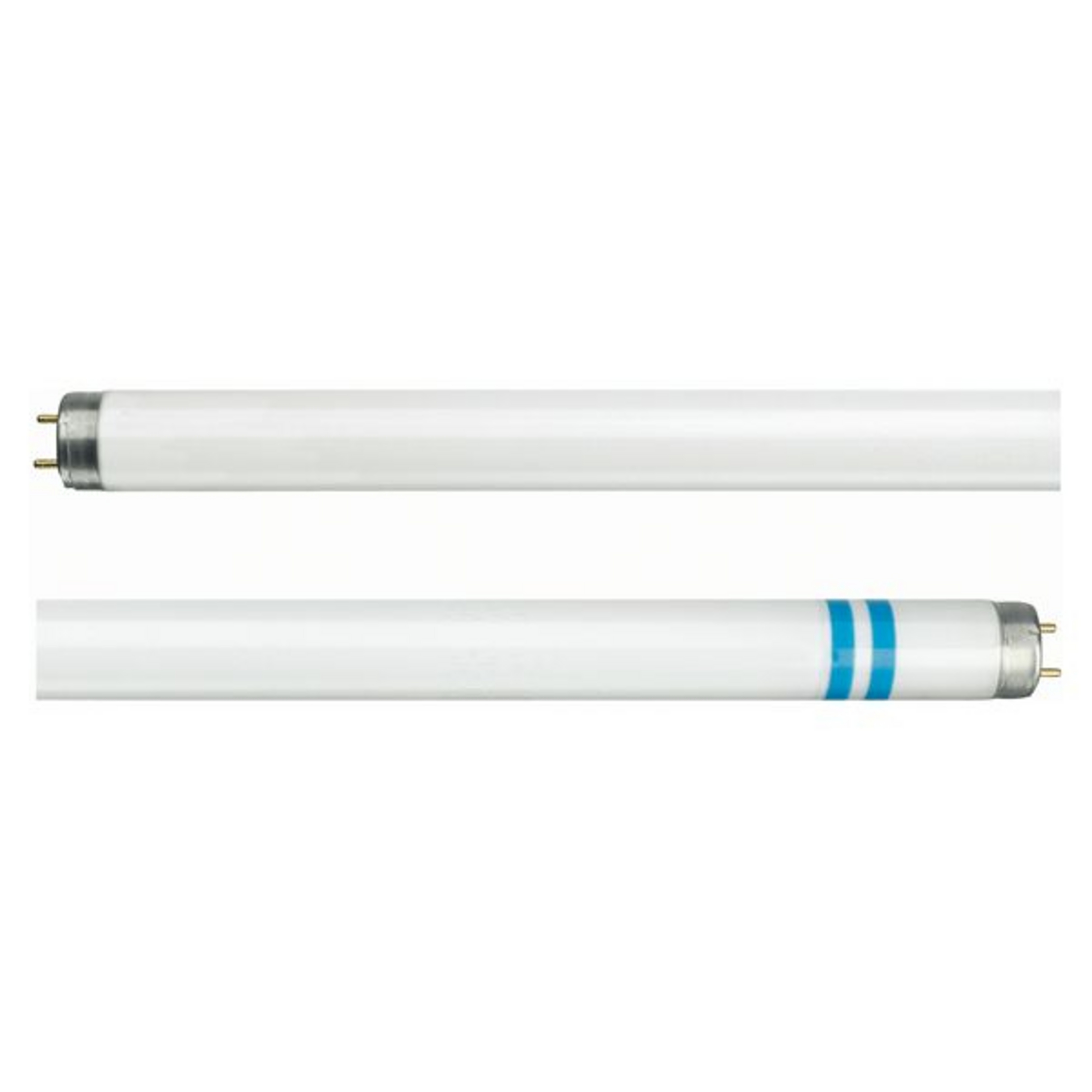 Philips G13 T8 -loisteputki, jossa on sirpalesuojaus