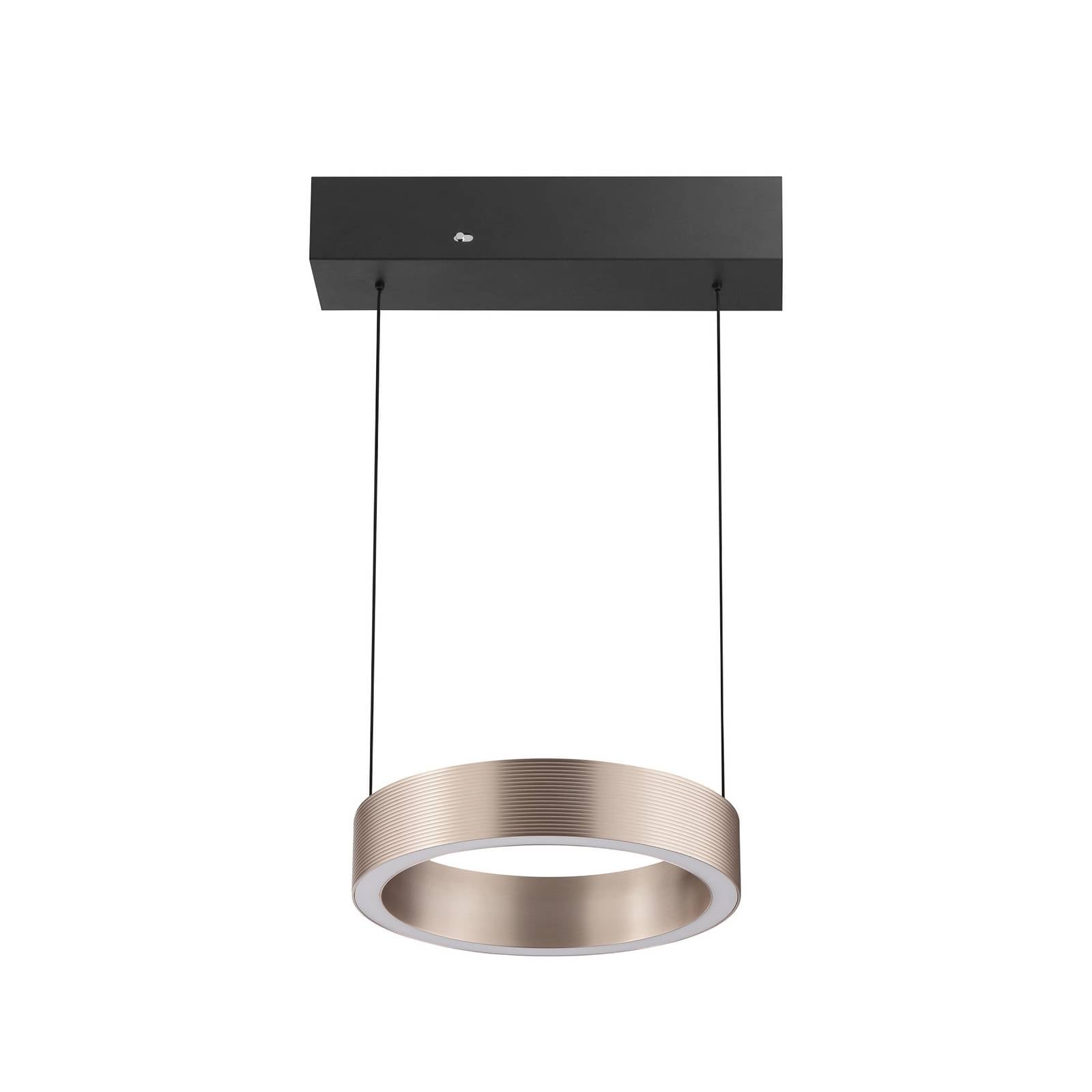 LED-Pendelleuchte Axion, schwarz/braun, Ø 25 cm, CCT
