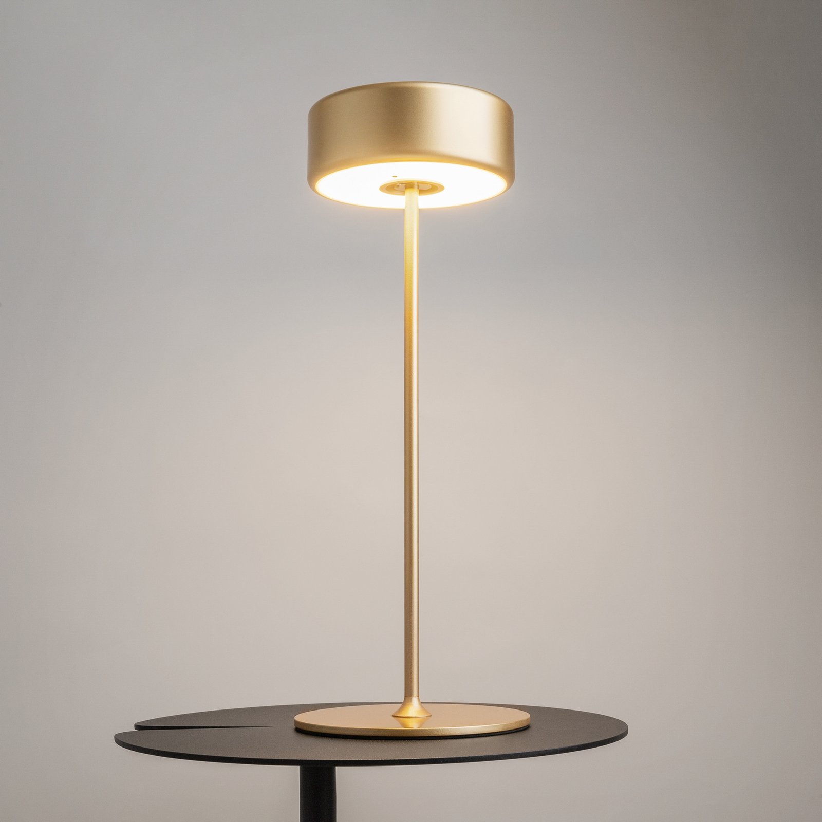 Maytoni LED rechargeable table lamp AI Collaboration, aluminium, gold