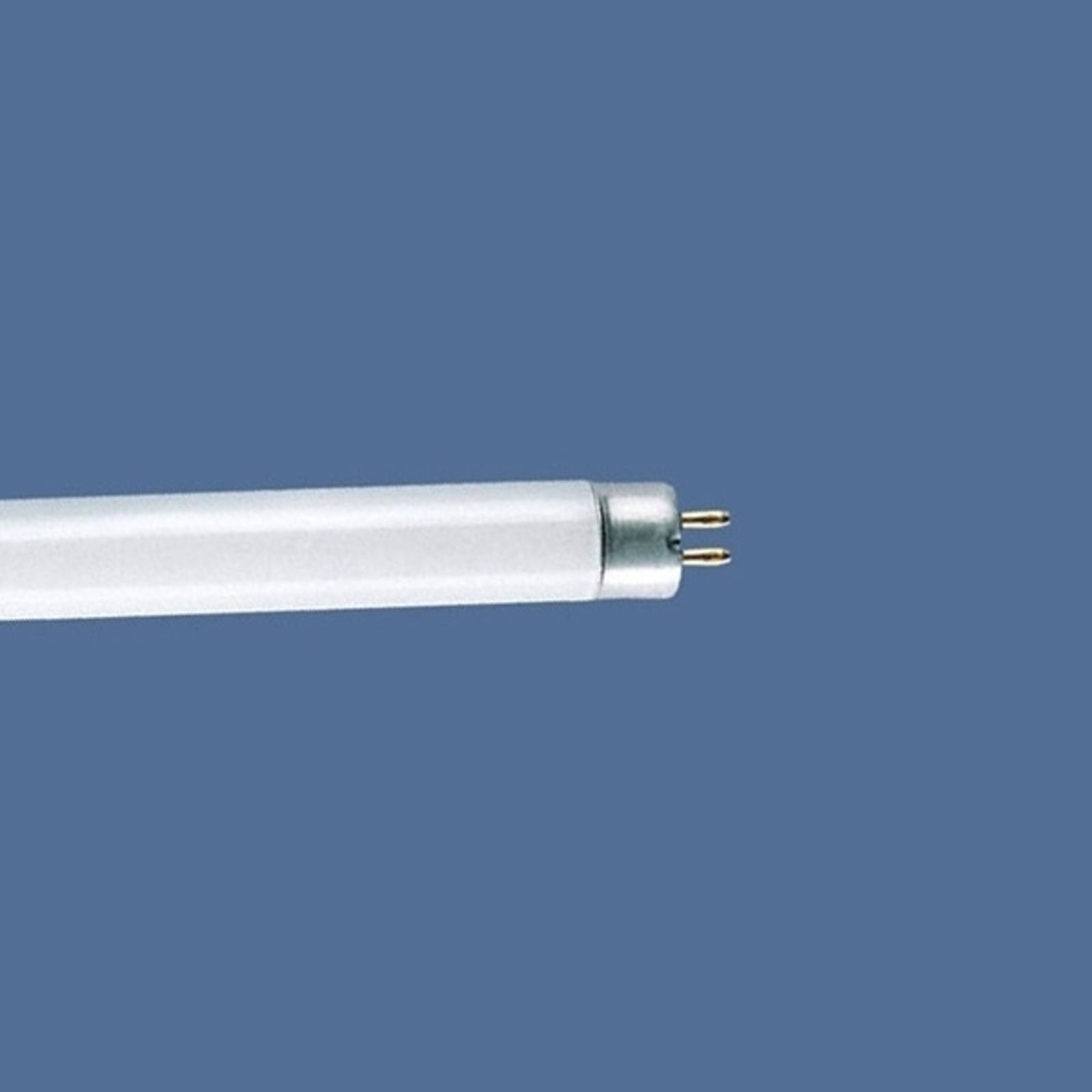 T4 6 W standard fluorescent lamp, warm white