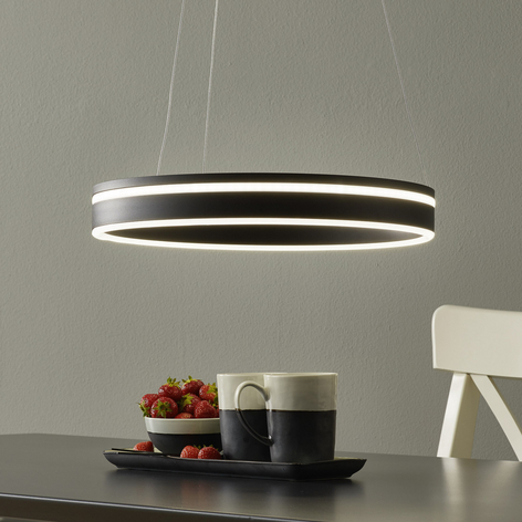 Paul Neuhaus Q-VITO LED hanglamp