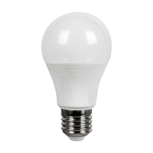 Müller Licht ampoule LED E27 9 W 2 700 K mate