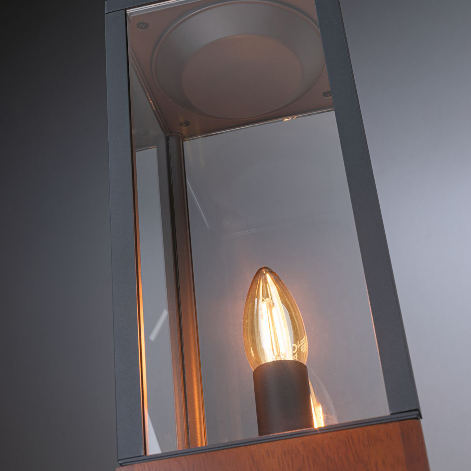 Paulmann Plug & Shine Venea lámpara sobremuro altura 40cm