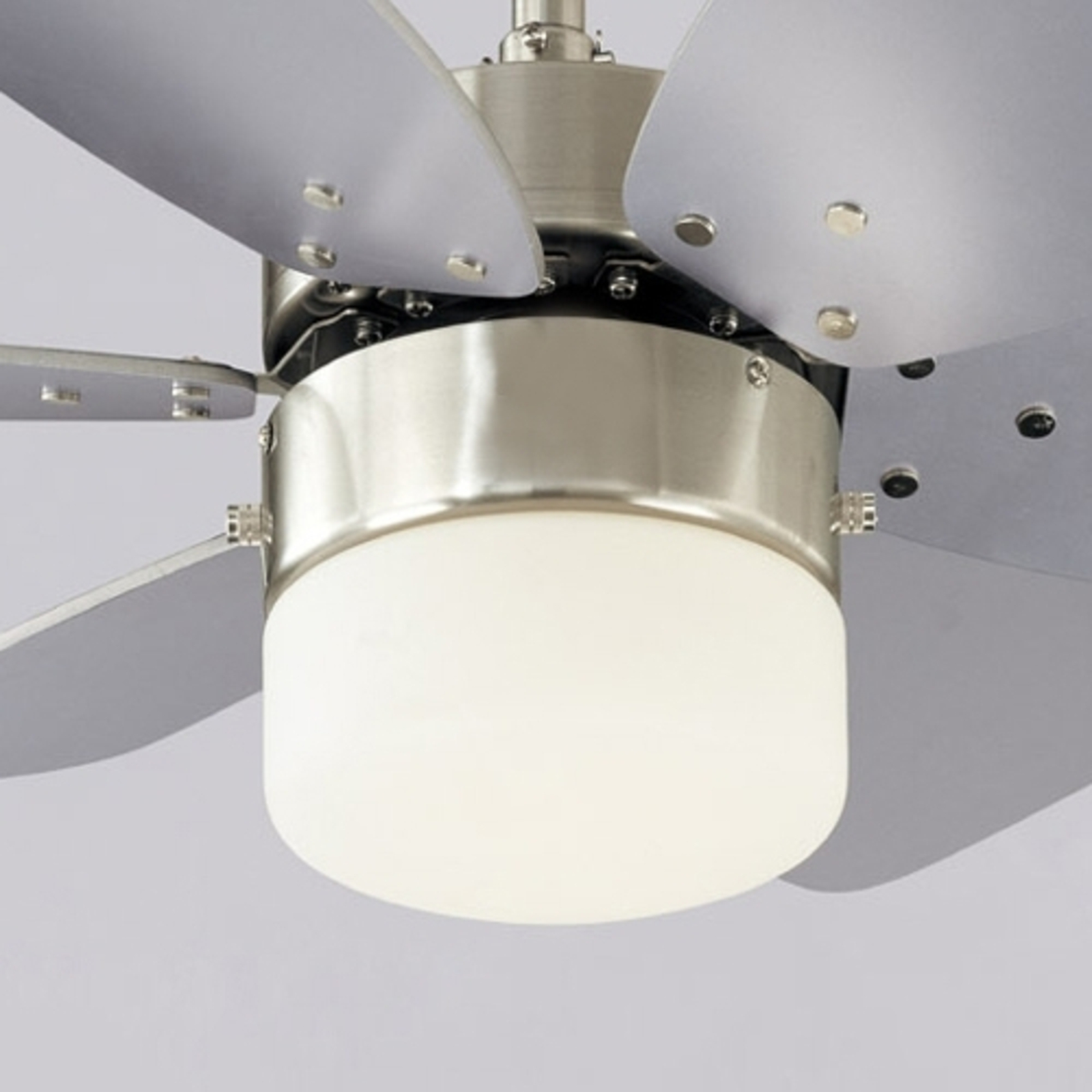 Westinghouse Floral Royal ventilateur de plafond