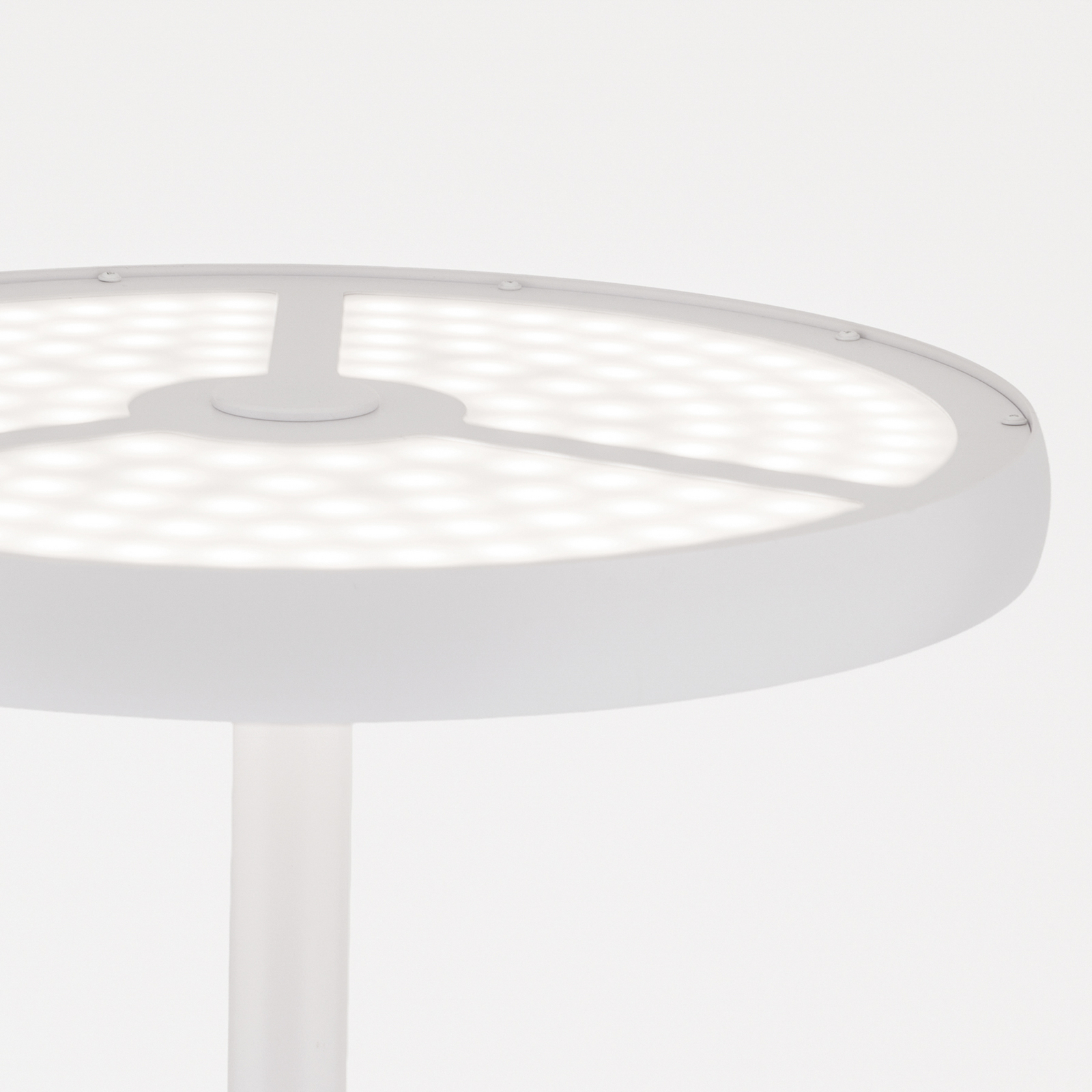 Candeeiro de pé LED KANT, branco, altura 185 cm, CCT, regulável, up/down Candeeiro de pé LED KANT, branco, altura 185 cm, CCT, regulável, up/down