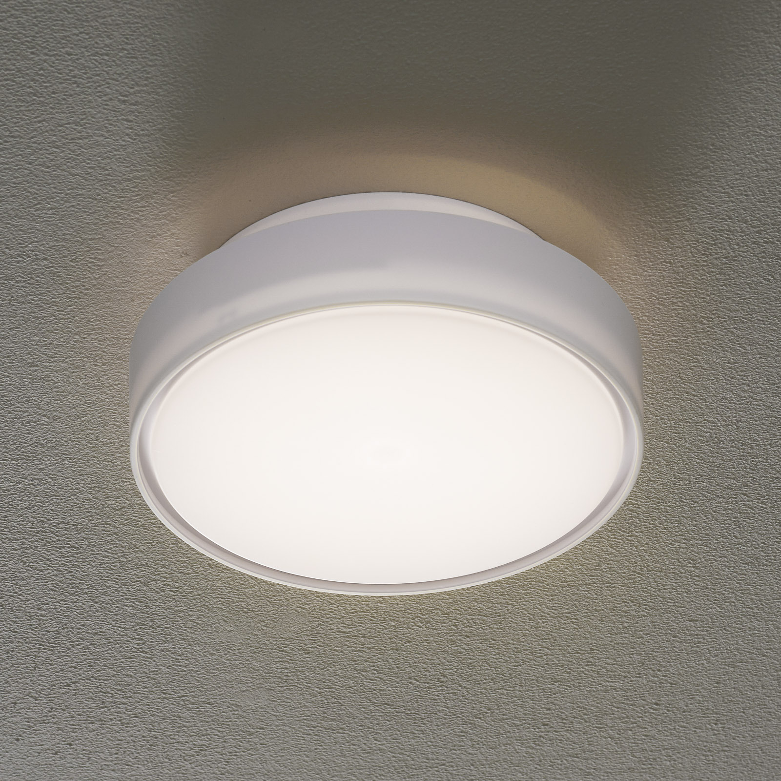 Hatton LED-loftlampe, IP65, 25 cm