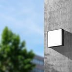 LED-Außenwandleuchte CMD 9023/CMD 9024