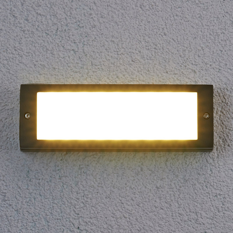 Energiesparende LED-Außenwandleuchte Rachel