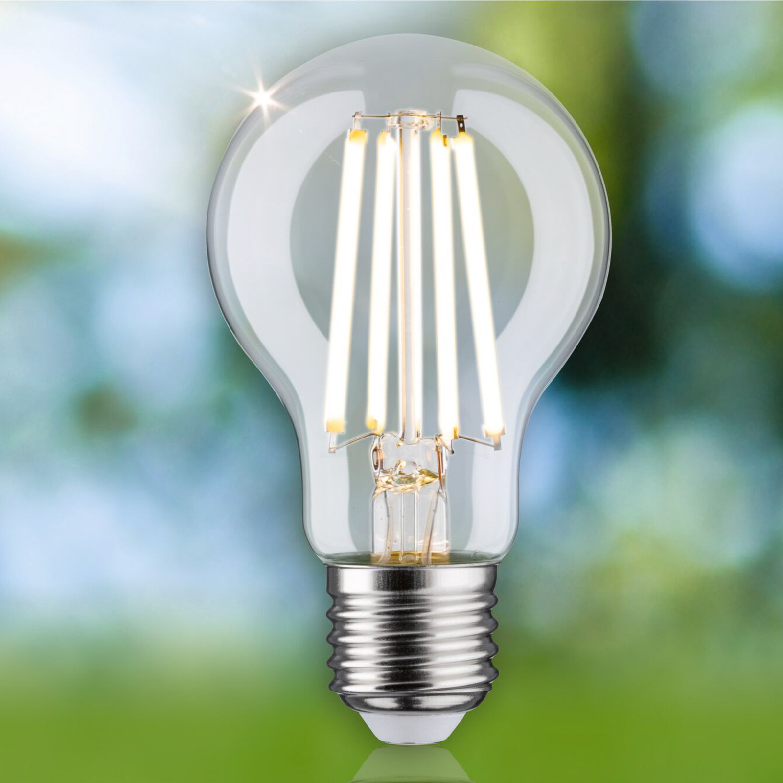 Paulmann Eco-Line LED bulb E27 4W 840lm 3,000K