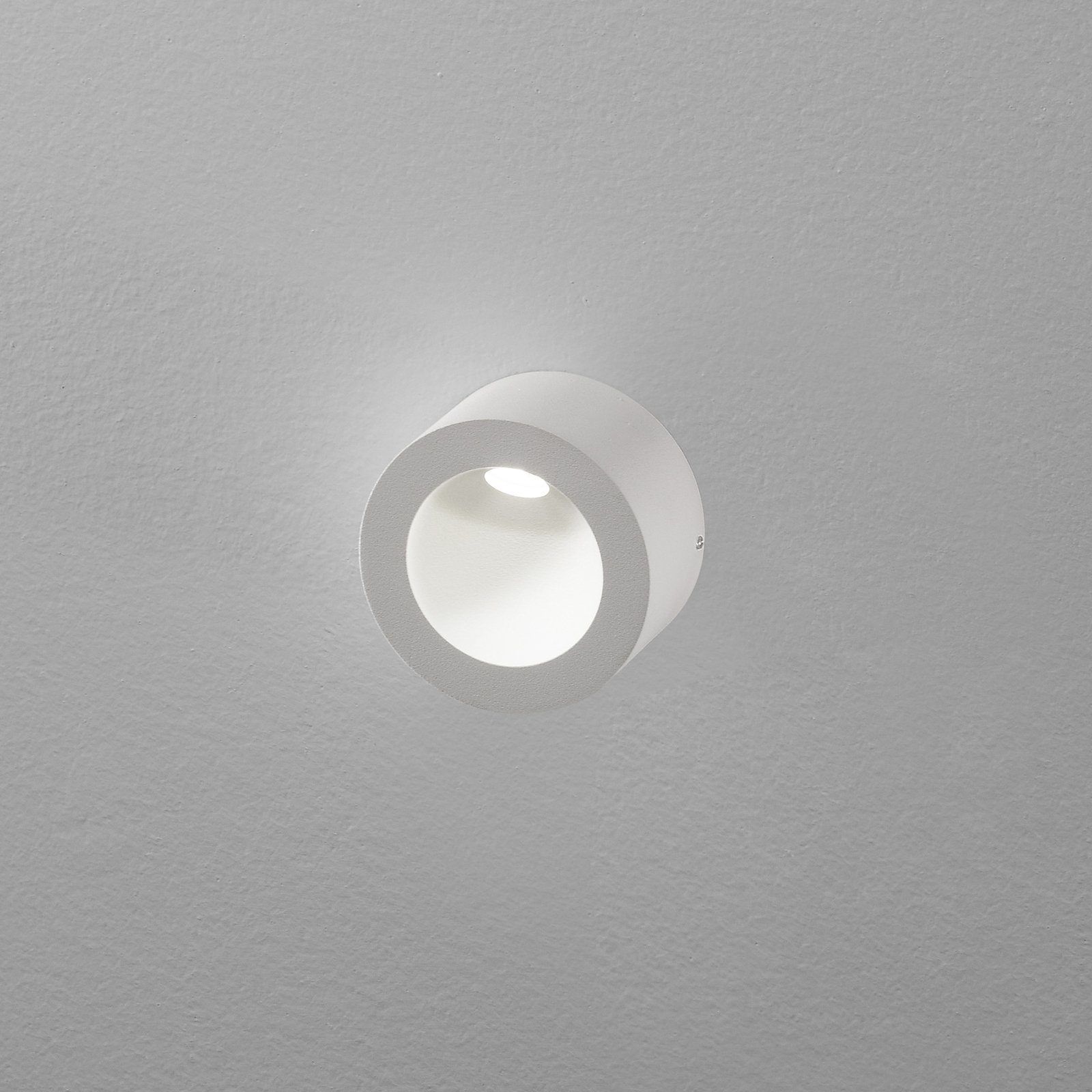 Egger Saxo on LED wall light, indoors and out