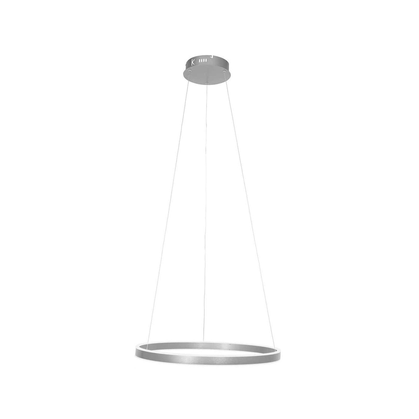 Suspension LED Ringlux, Ø 60 cm, à 2 lampes, acier