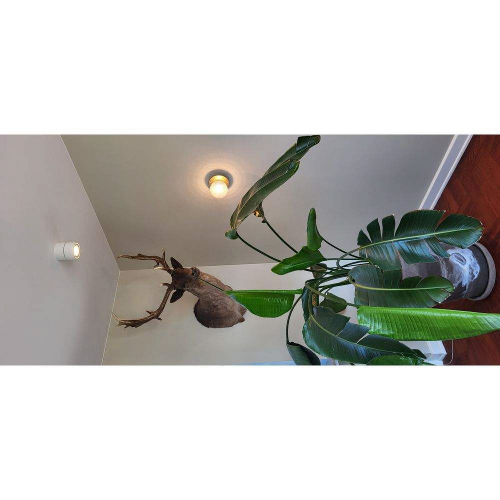 Easy Mini W75 LED-spot, hvid, 2700K, 5,5 cm ANTIDARK - Stue - Aluminium