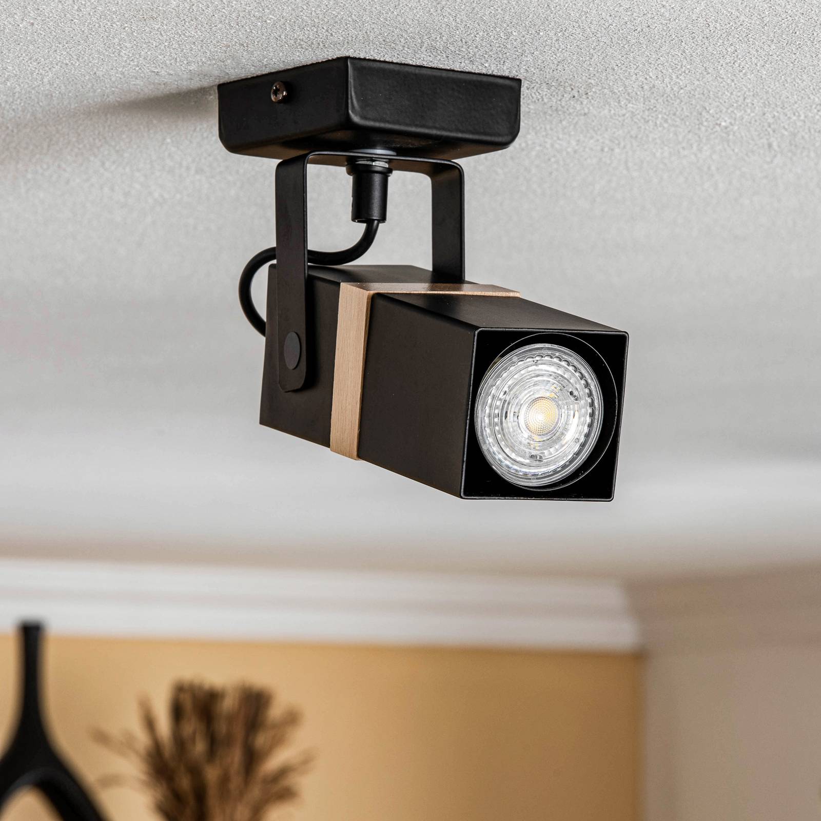 eko-light spot pour plafond vidar, noir, à une lampe