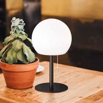 Akku 21,5 cm mit LED-Tischleuchte table Sponge