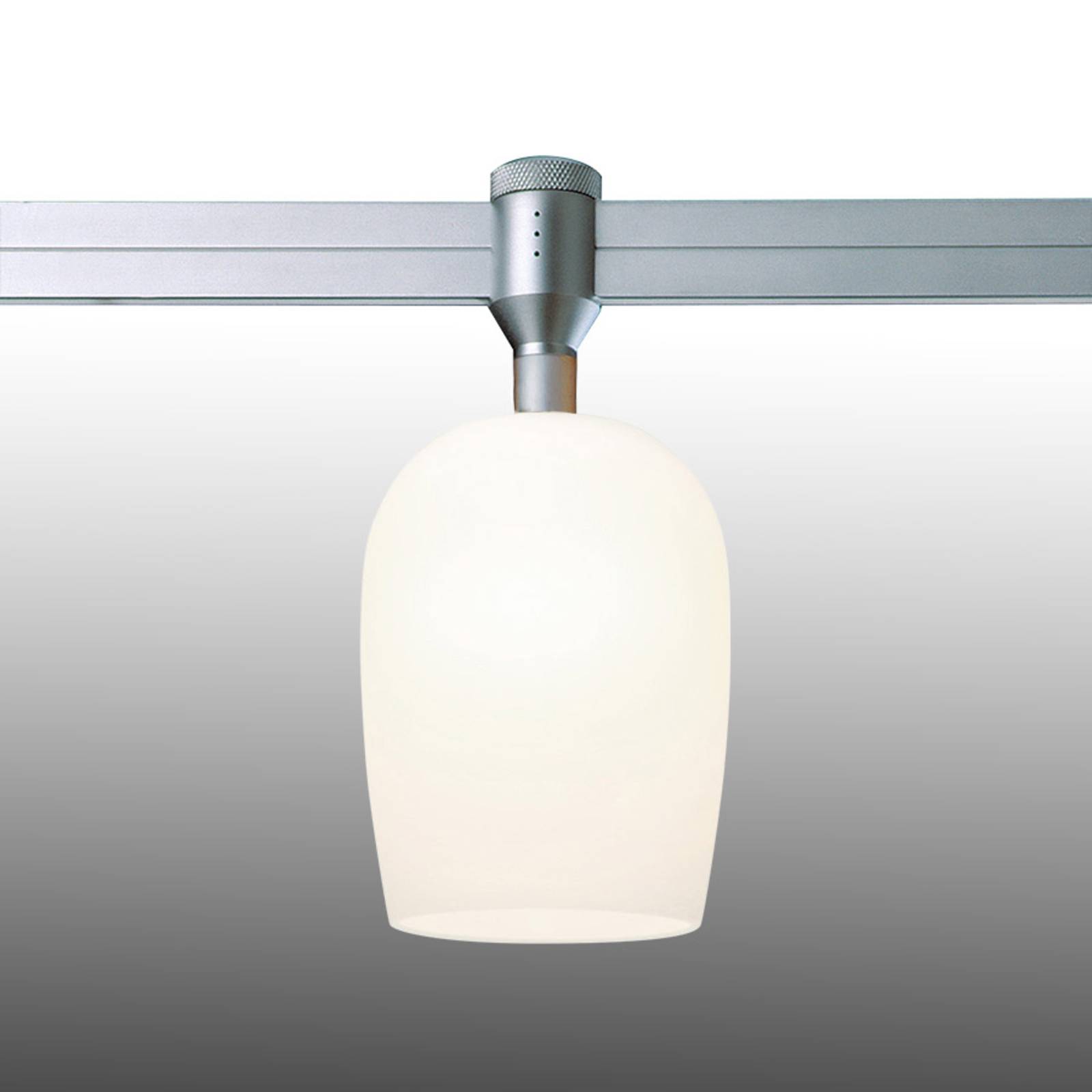 Image of Oligo Lampe Balibu pour rail CHECK-IN, blanc mat 4035162249246