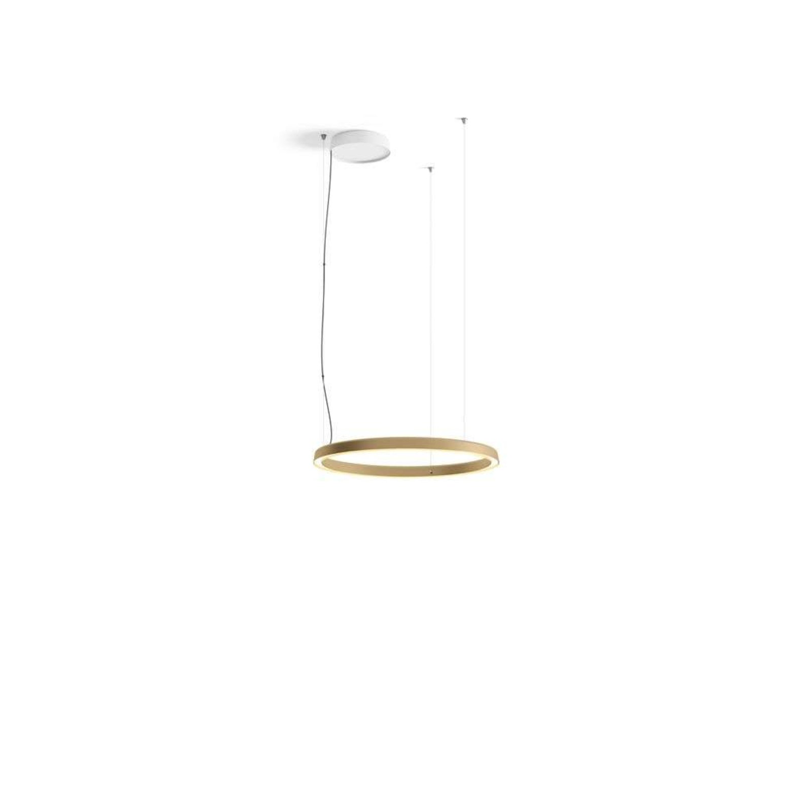 Compendium Circle LED Lustră Pendul Ø72 Brass - Luceplan