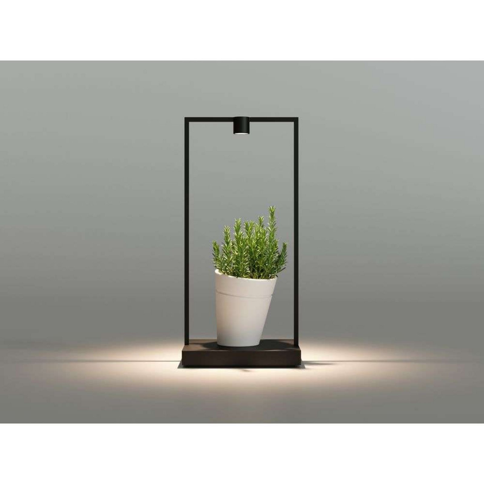 Curiosity 45 Focus Lampă de Masă Black/Brown - Artemide