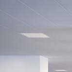 Regent Dime Office ceiling light 36.6cm 12W 3,000K