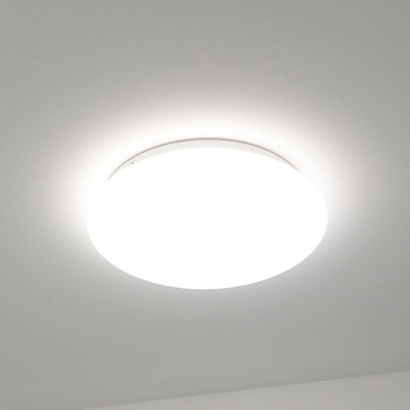 DOTLUX plafonieră LED LUNA alb Ø 33 cm PMMA CCT IP44 - Baie - modern - Plastic
