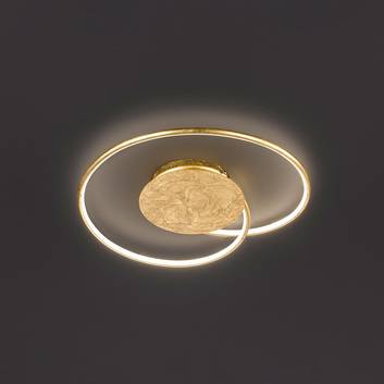 Alle Gold lampe im Überblick