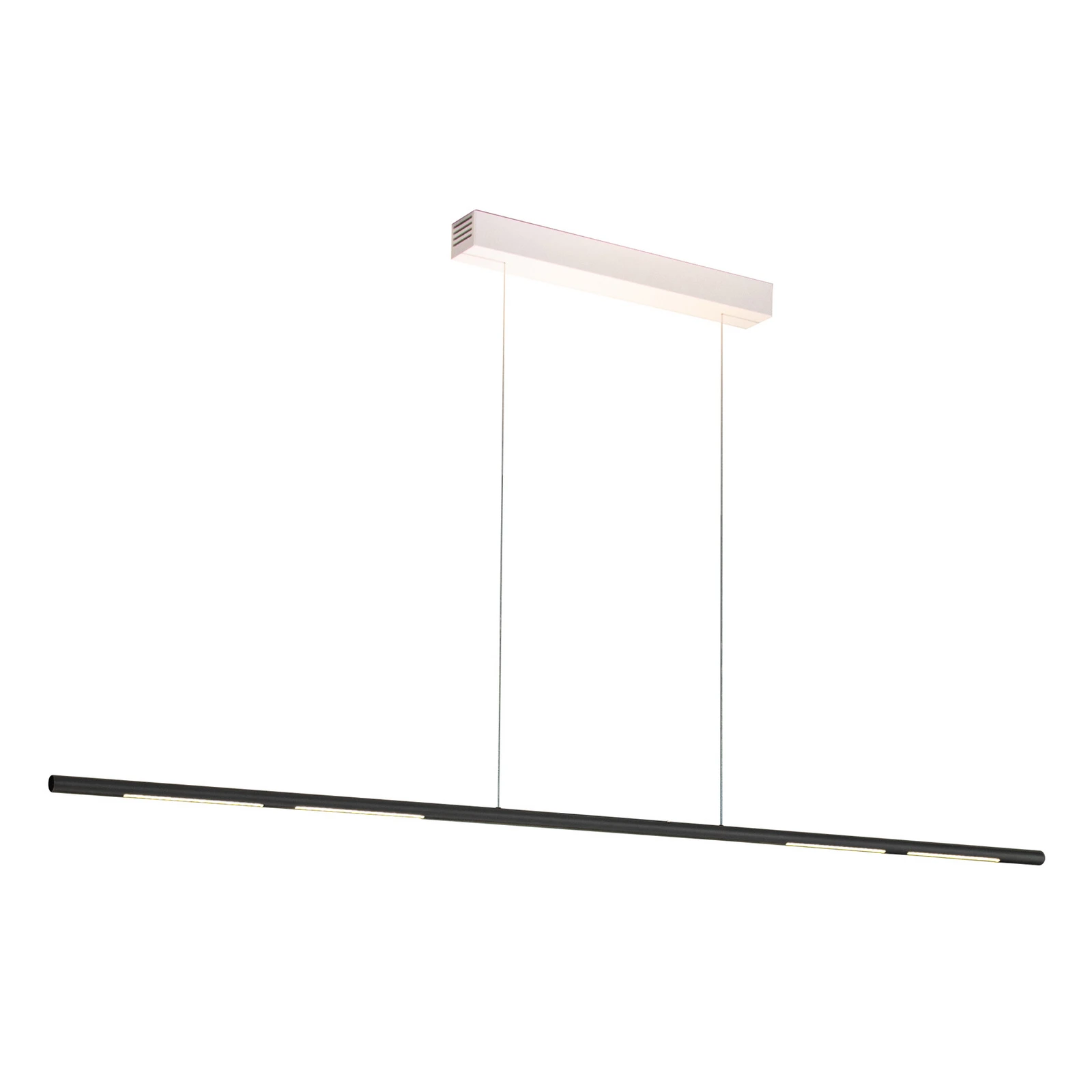 Sattler Palito Linea, 3.000K, TRIAC, 175cm zwart