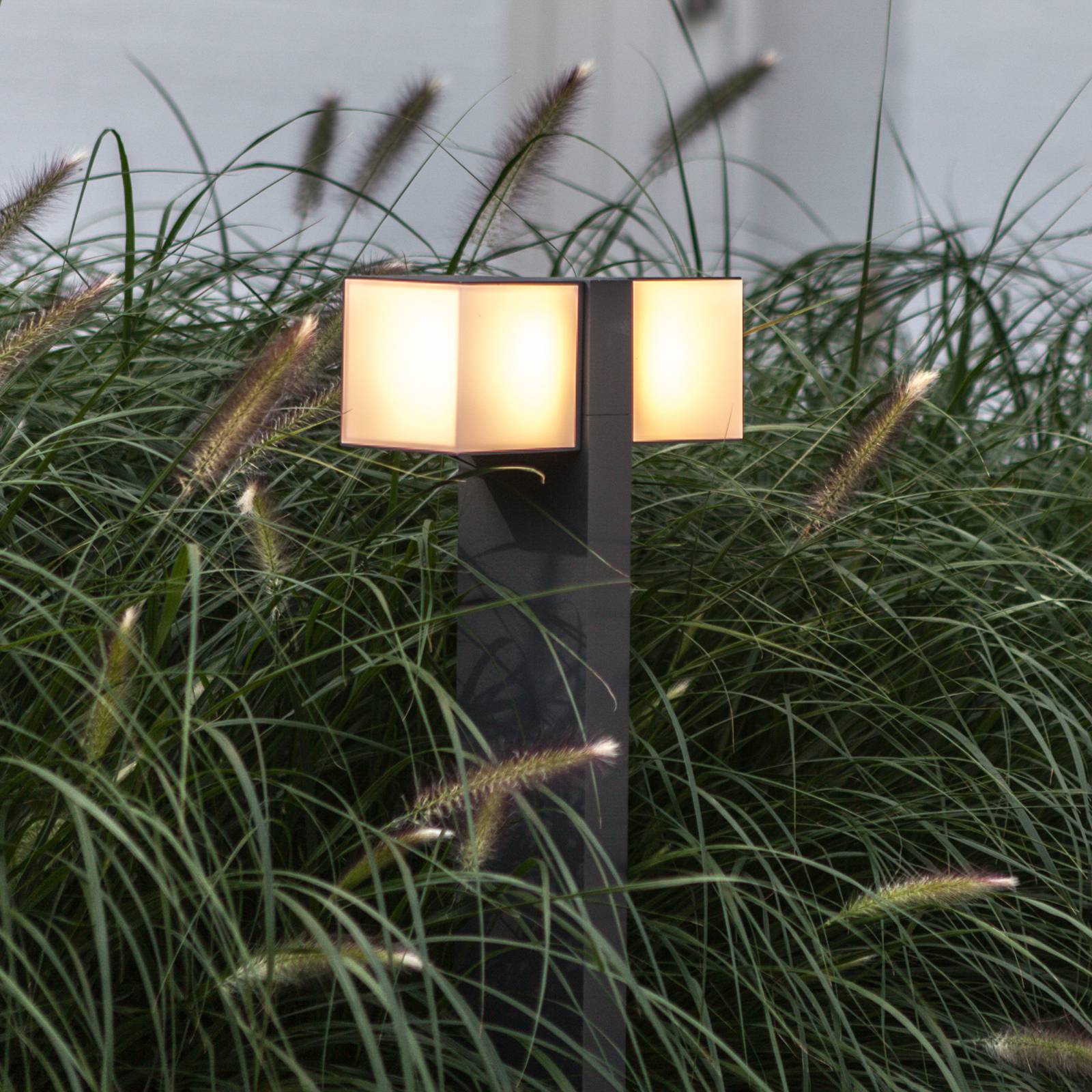 Фото - Прожектор / світильник Lutec Słupek ogrodowy LED Cuba, 2-pkt, antracyt, 4 000 K 