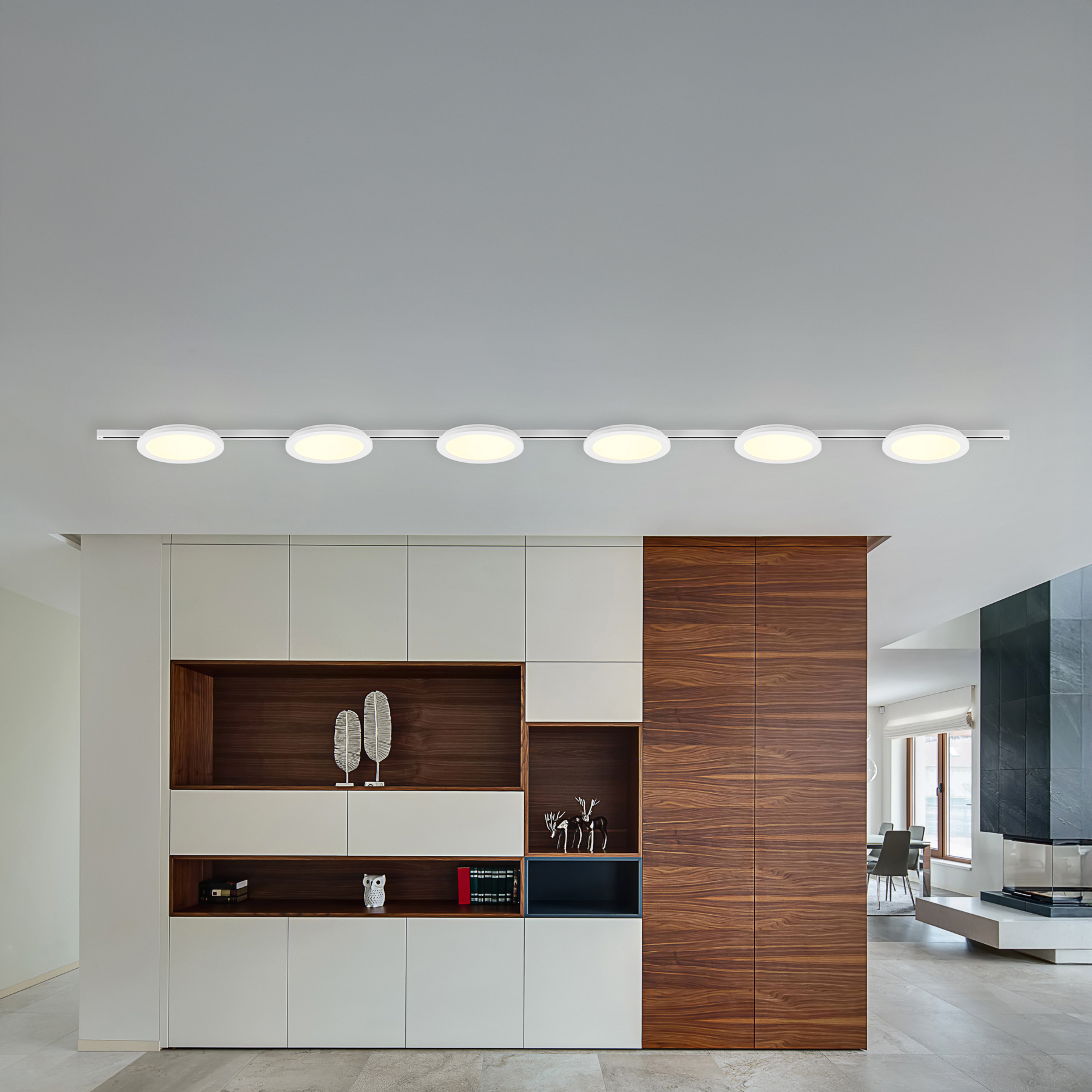 Rööbaskomplekt DUOline Camillus, valge, 3 m, 6-leheline LED 2-faasiline