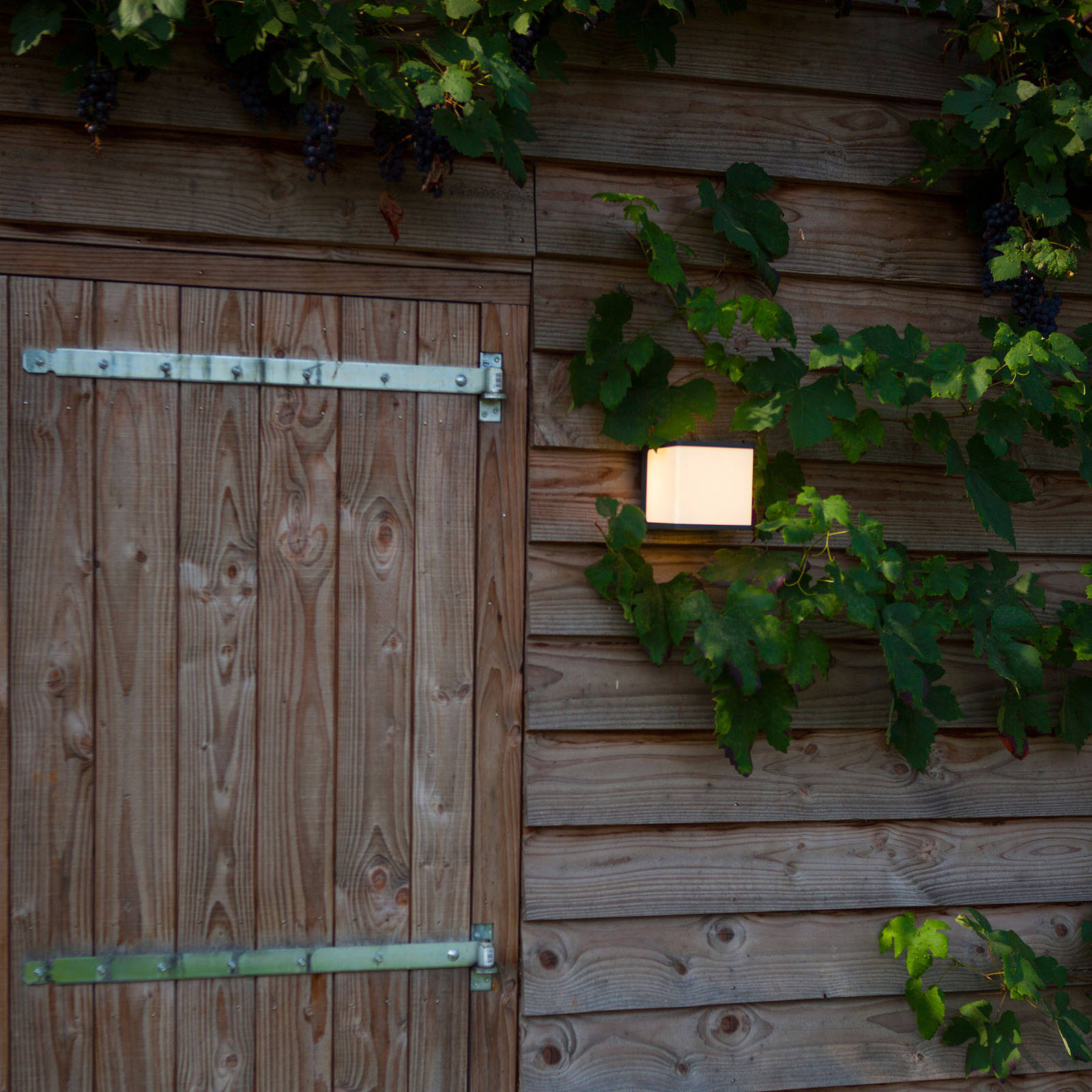 Doblo LED outdoor wall light, cube, 15 cm, 3,000 K