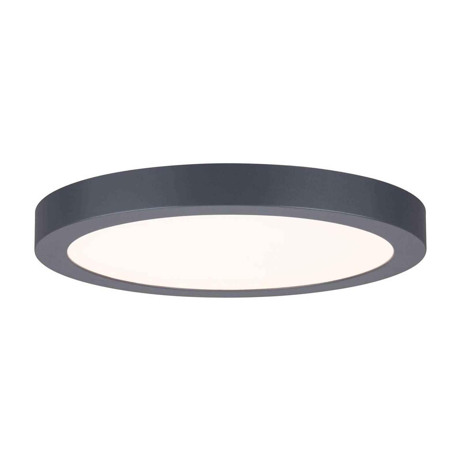 Paulmann Abia-LED-paneeli Ø30cm 2700K tummanharmaa - moderni kattolamppu - kattovalaisin - led-valopaneelit - toimistovalaisin - lamppu Olohuoneen/ruokailutila