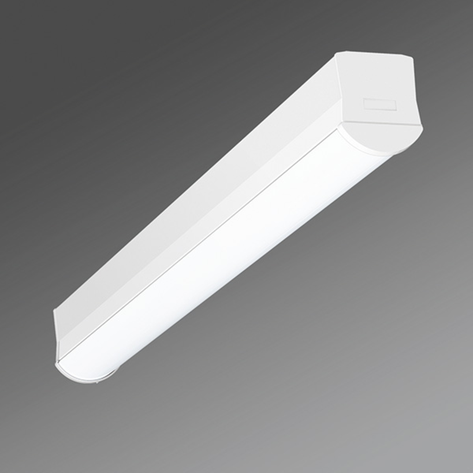 Regiolux Narrow Ilia-ILG/0600 LED ceiling light 4,000 K, for Hallway, steel, plastic, 20 W, energy efficiency: A+, L: 58 cm, W: 5.6 cm, H: 6.6 cm